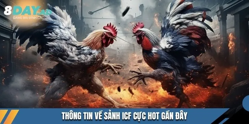 Thông tin về sảnh ICF cực hot gần đây